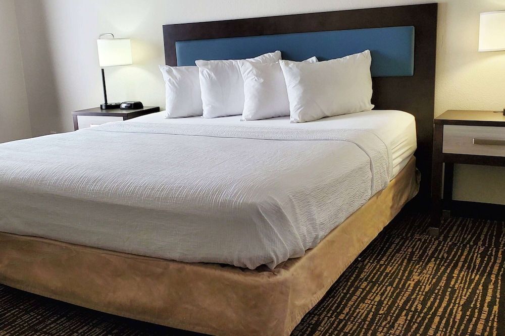 Suite, 1 King Bed