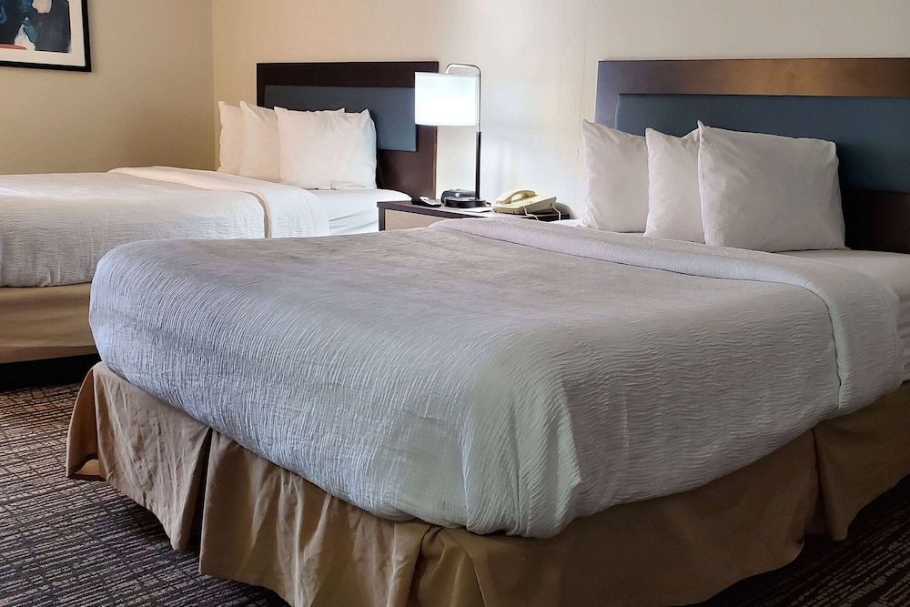 Suite, 2 Queen Beds