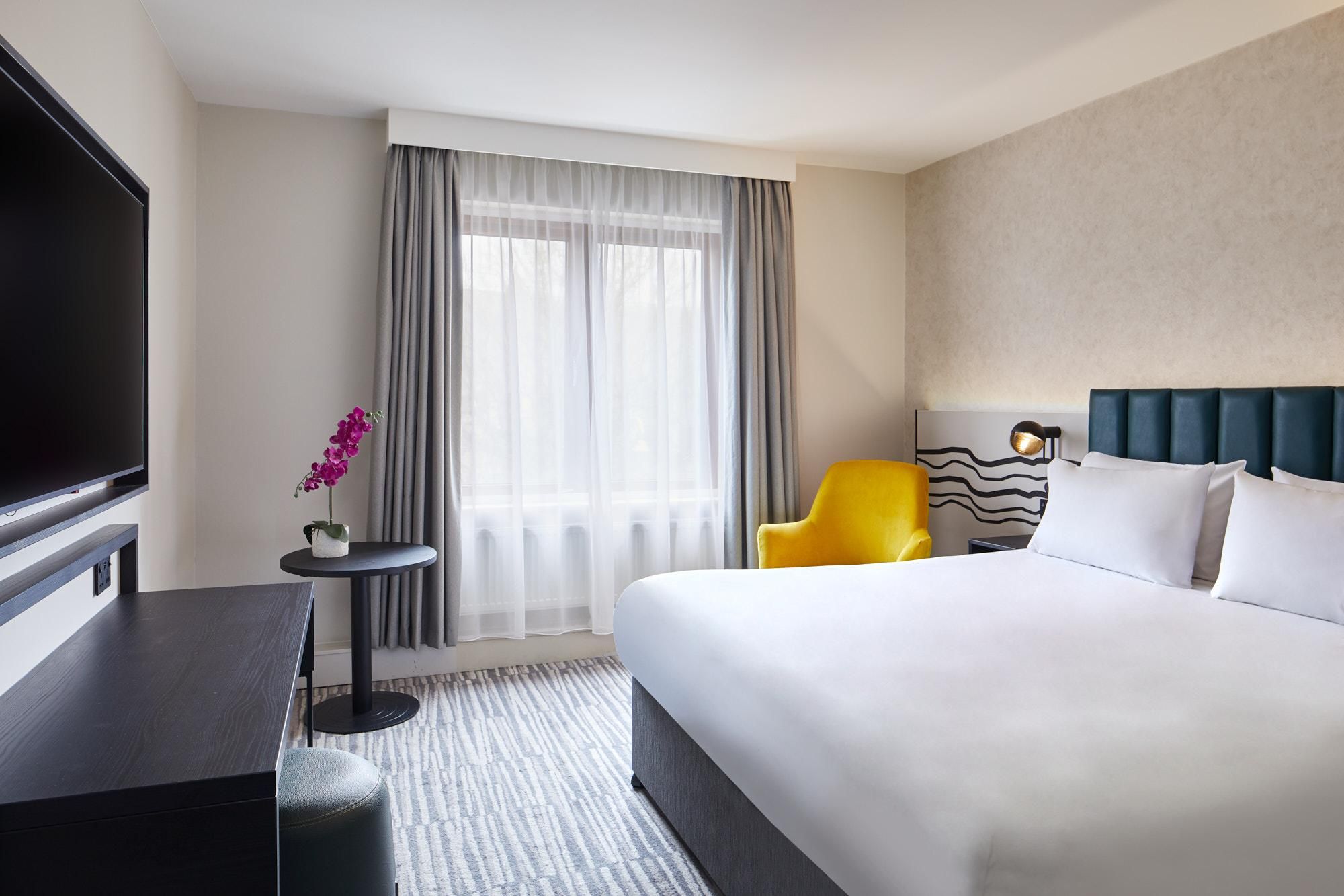 Standard King Room