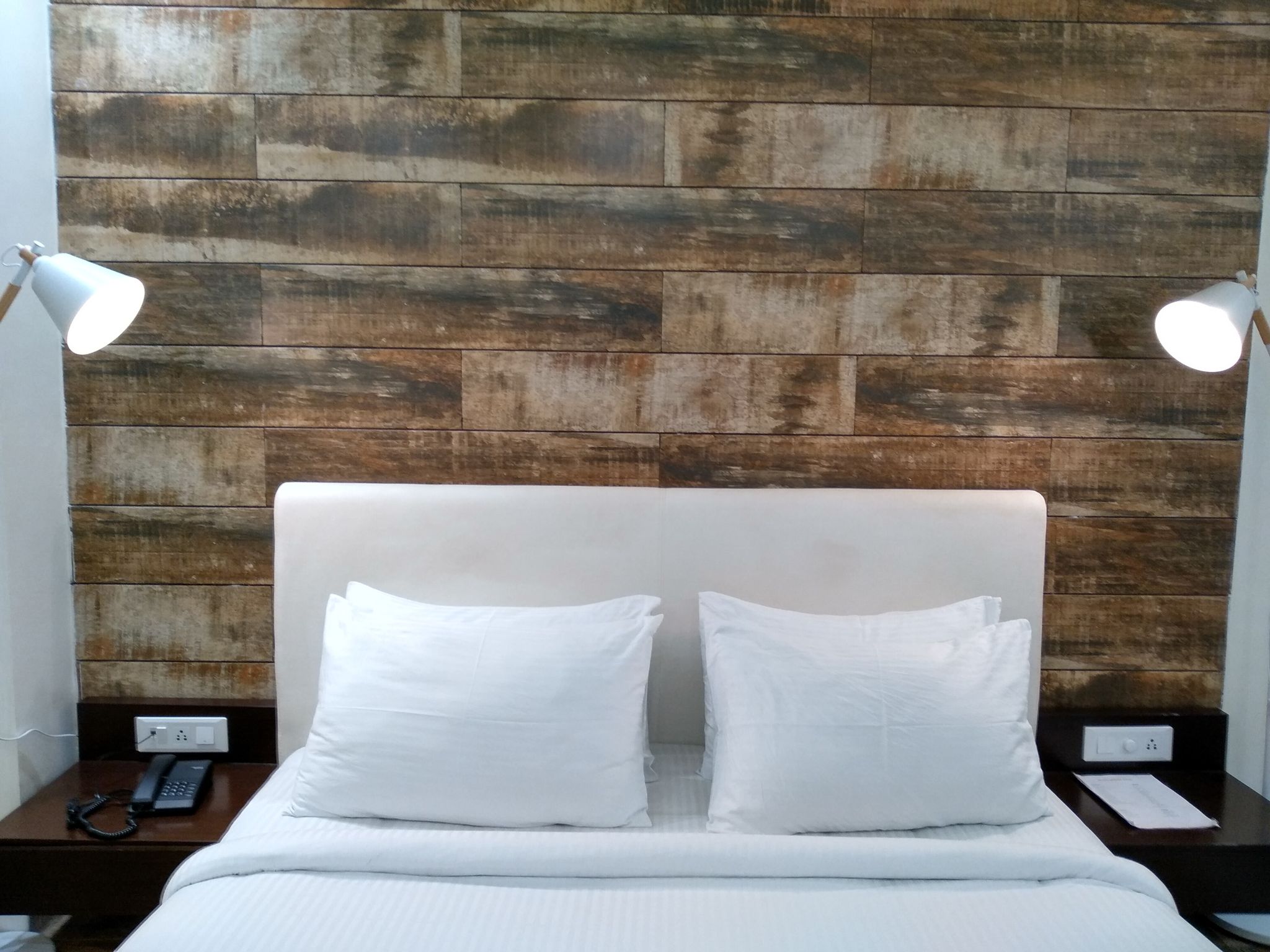 Mohan Tulip Hotel Executive Room 3