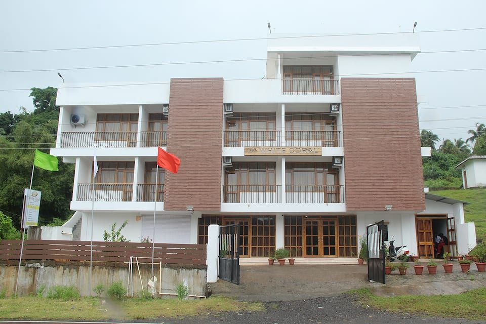 undefined White Coral