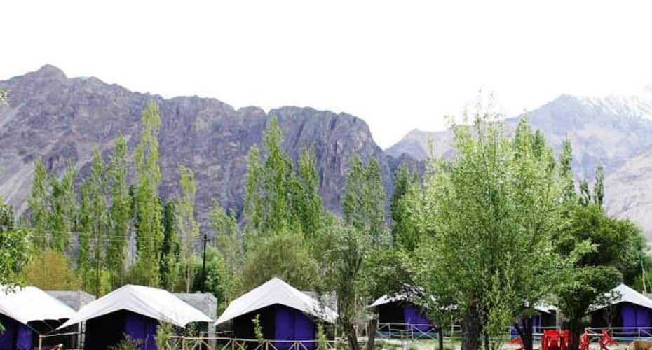 undefined Dowa Deluxe Camp 9