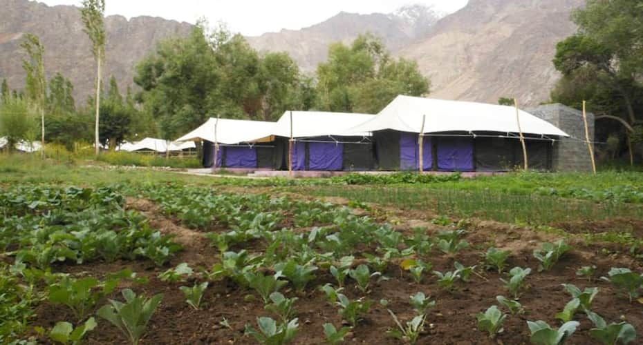 undefined Dowa Deluxe Camp 7