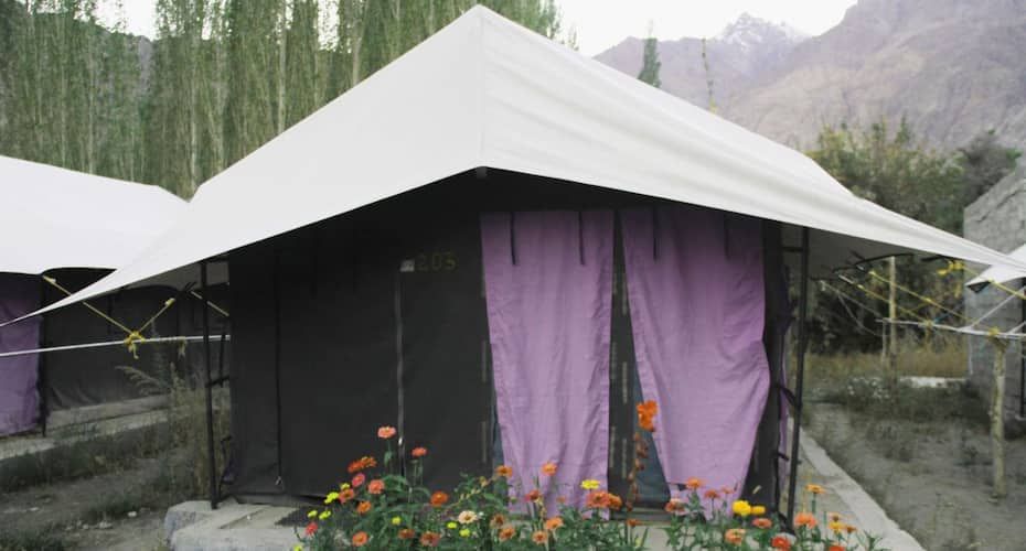 undefined Dowa Deluxe Camp 2
