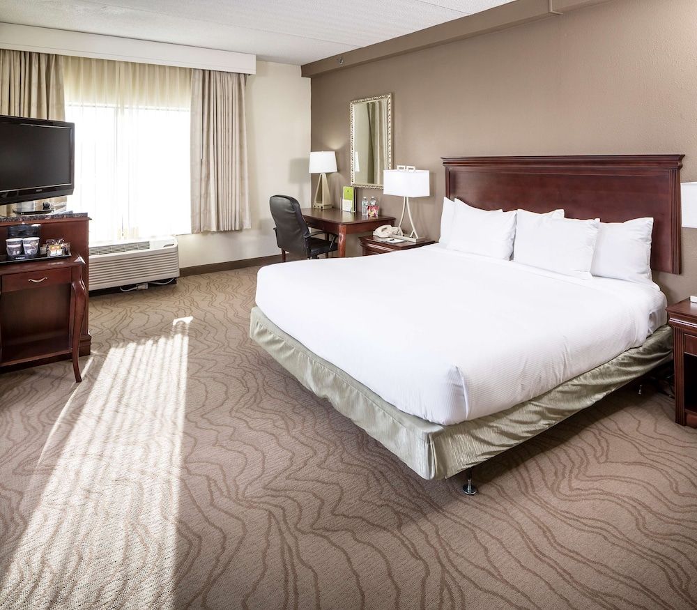 Room, 1 King Bed with Sofa bed (Larger Room)