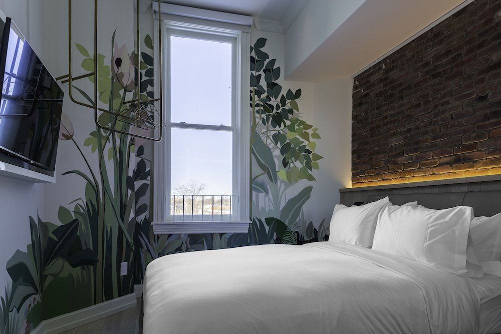 Gladstone House Studio, 1 Queen Bed 3