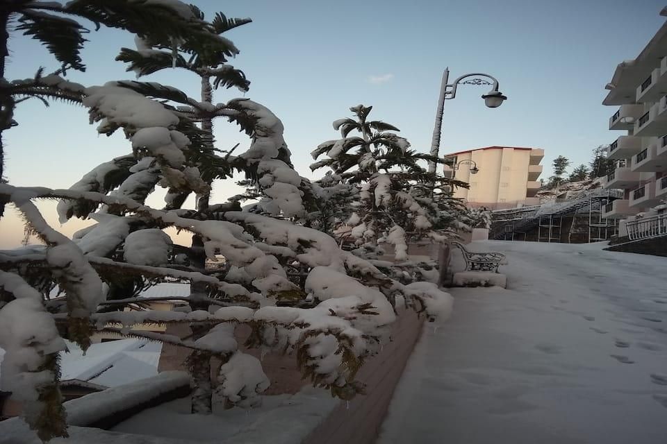 undefined Spangle Heights Suits & Residences 7