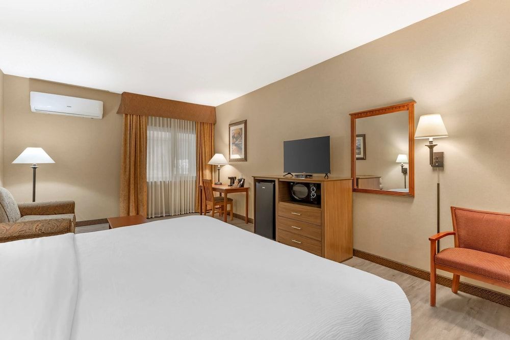 Room, 1 King Bed, Accessible, Non Smoking