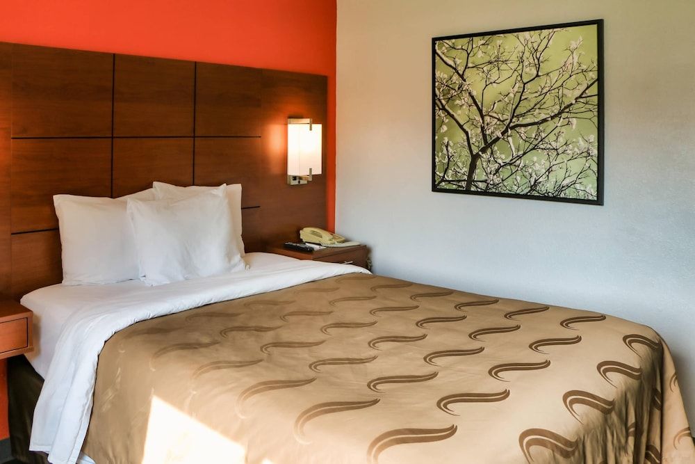 Quality Inn & Suites Watertown Fort Drum Standard Room, 1 Queen Bed, Non Smoking 2