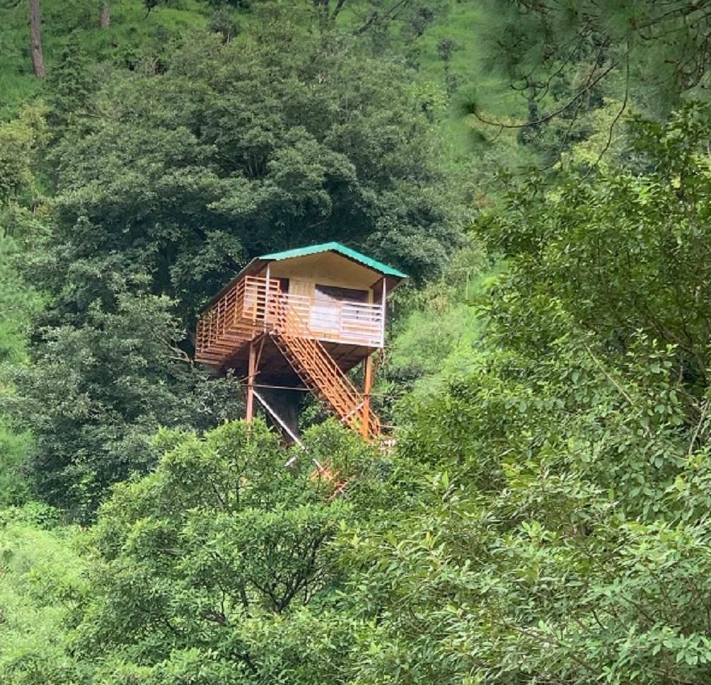 Tree House