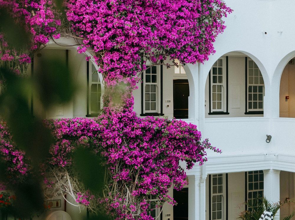 undefined The Winchester Hotel by NEWMARK 8