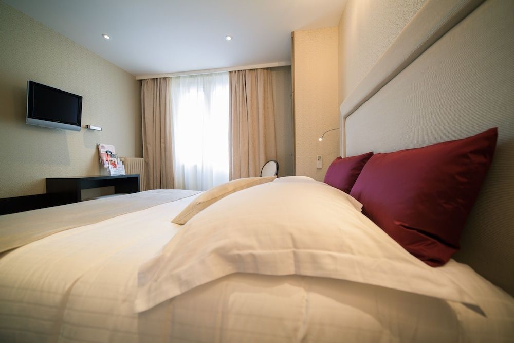 Hôtel des Princes – Chambéry Centre Double Room 2