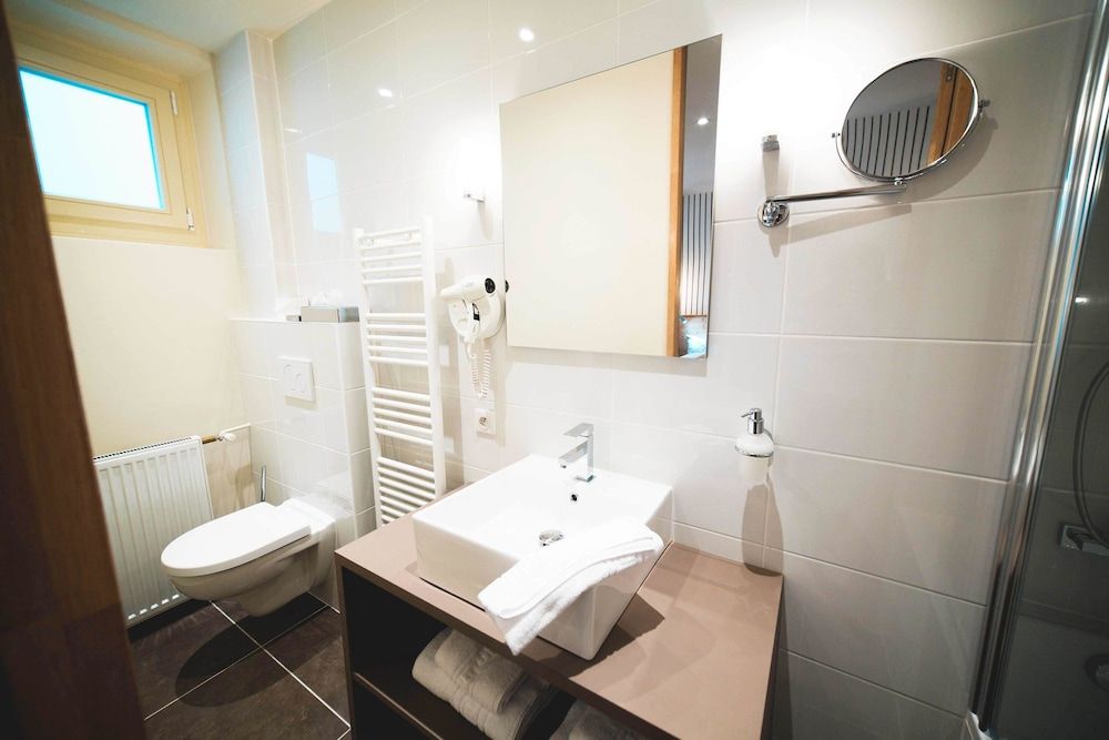 Hôtel des Princes – Chambéry Centre Double Room 15