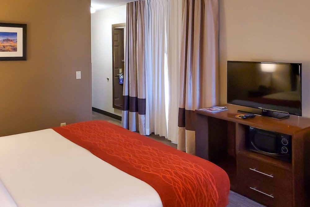 Standard Room, 1 King Bed, Accessible, Non Smoking