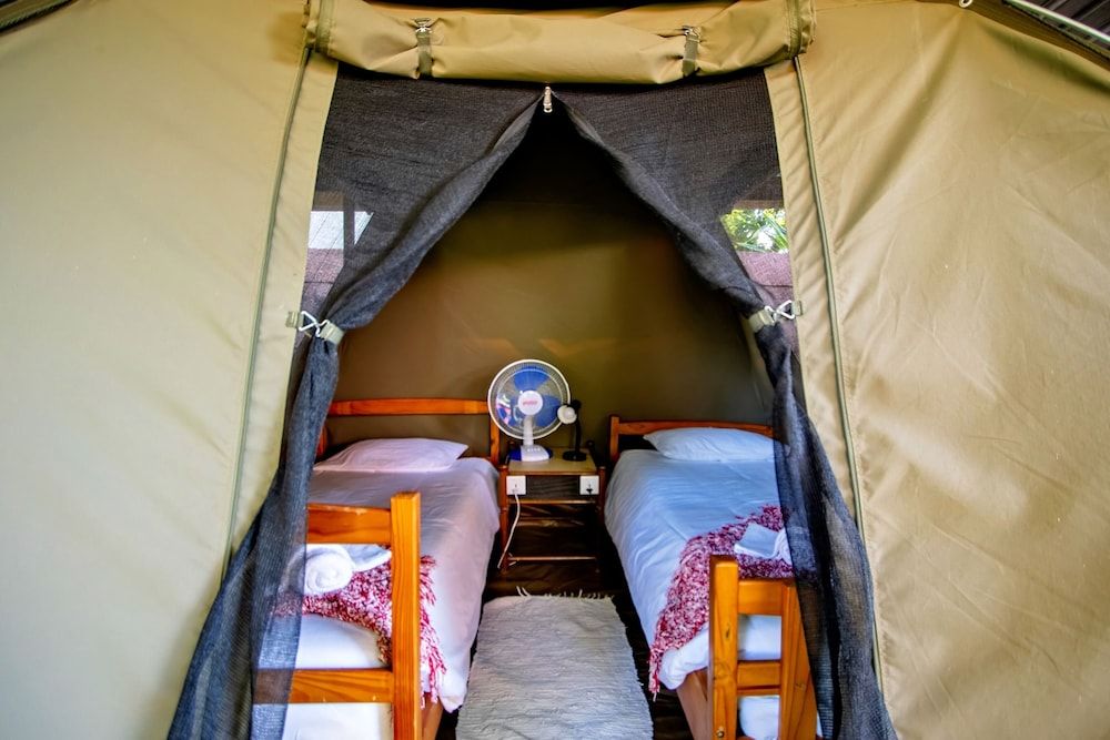 Shoestrings Backpackers & Bar Dome Tent 3