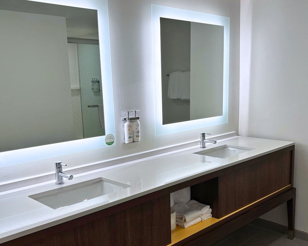 Suite, 1 King Bed