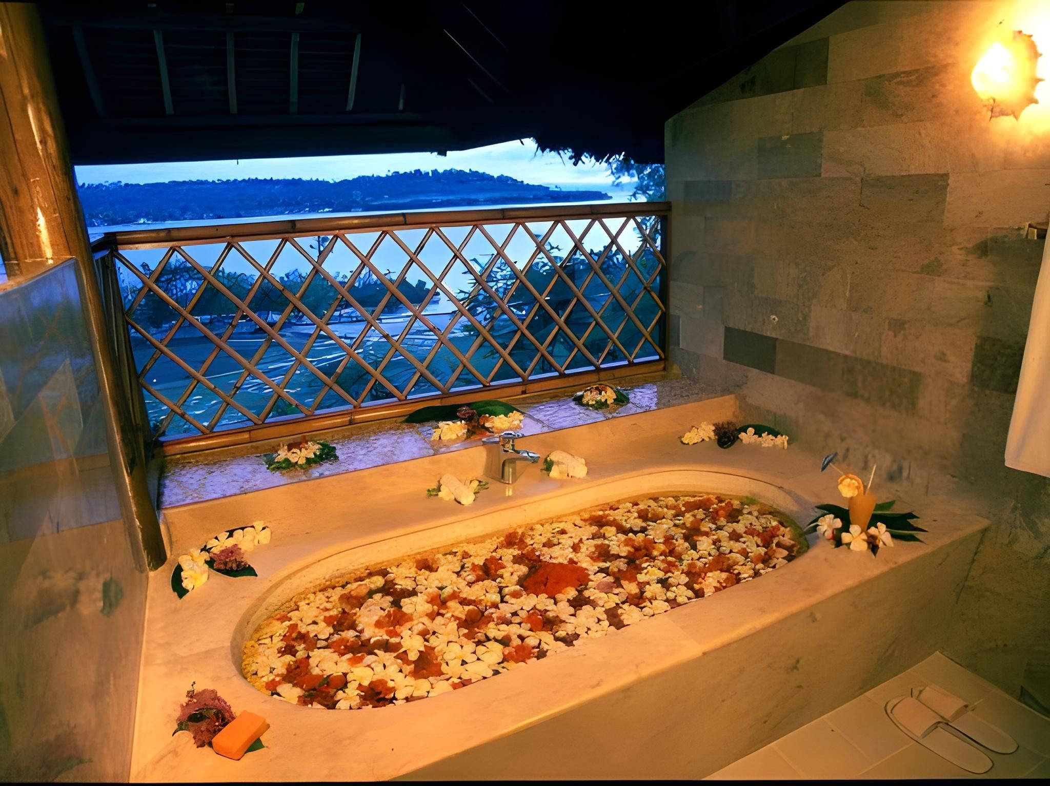 Badian Island Wellness Resort Junior Suite