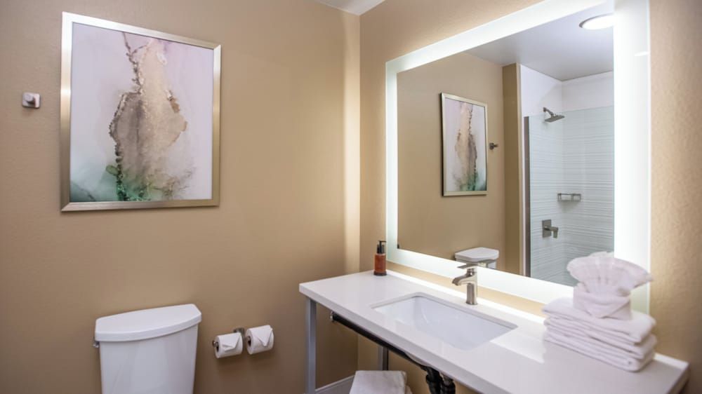 Gold Dust West Carson City Deluxe Room, 1 King Bed 2