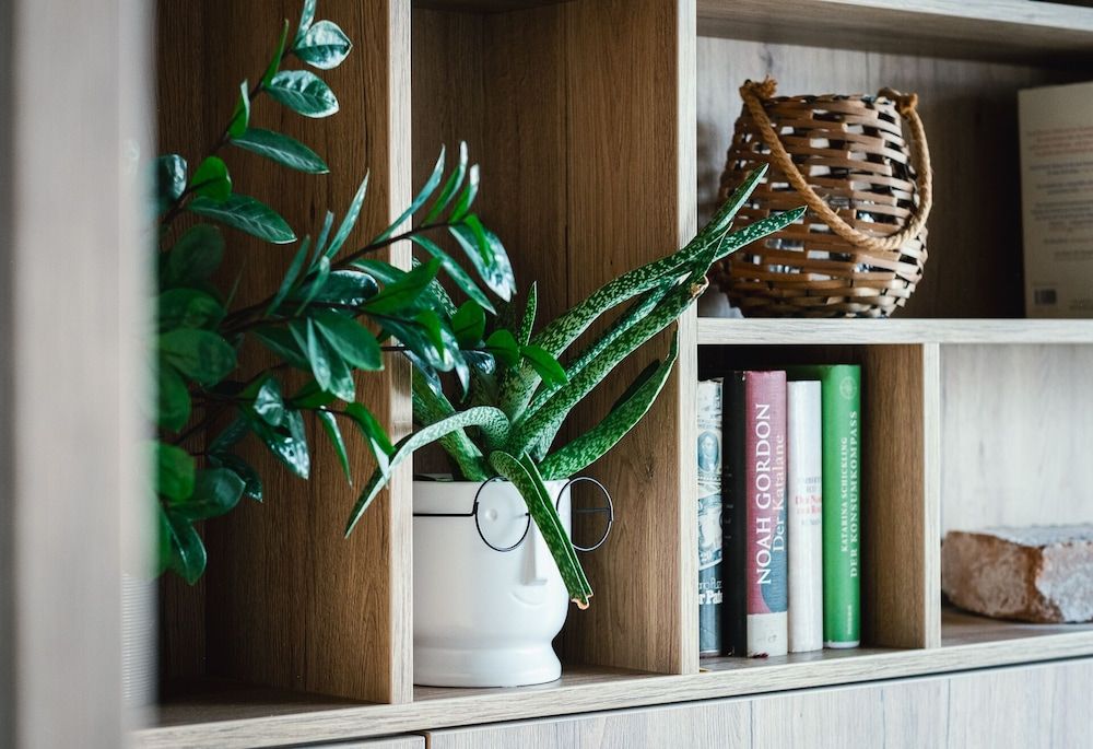 undefined Levy's Rooms & Breakfast