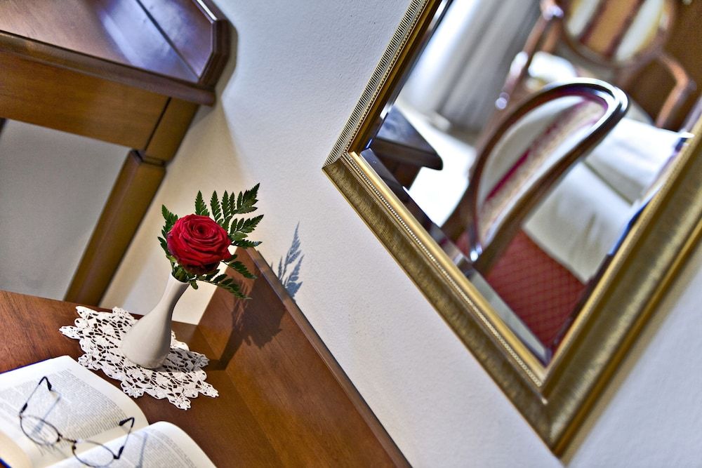 Hotel Berner Zell am See Double Room, 1 Double Bed, Balcony, Mountain View 7