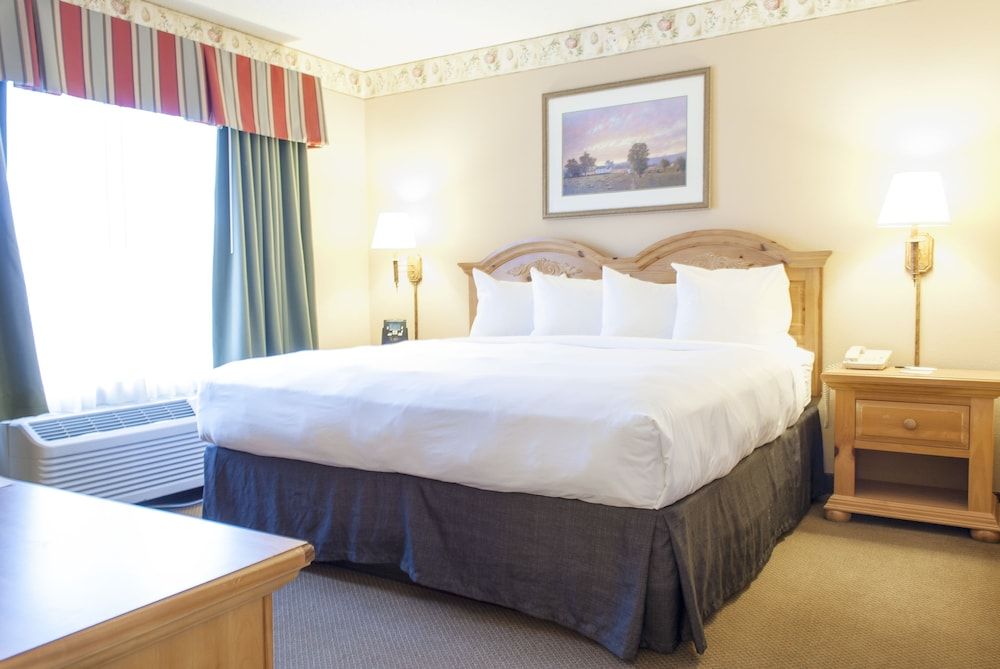 Premium Suite, 1 King Bed, Non Smoking