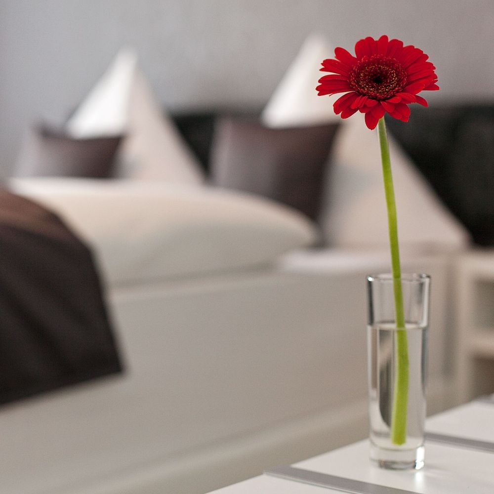 Hotel Asahi Double or Twin Room 3