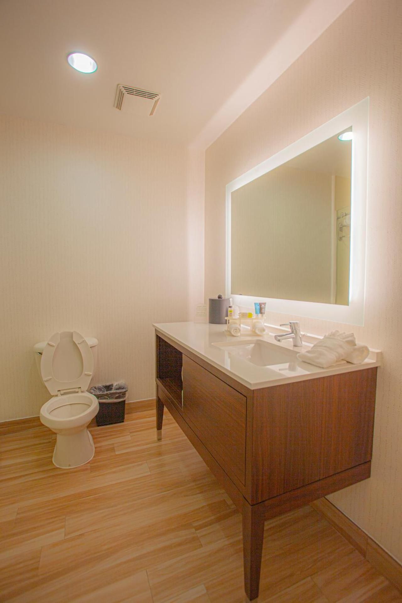 1 Queen Bed Business Suite Non-Smoking