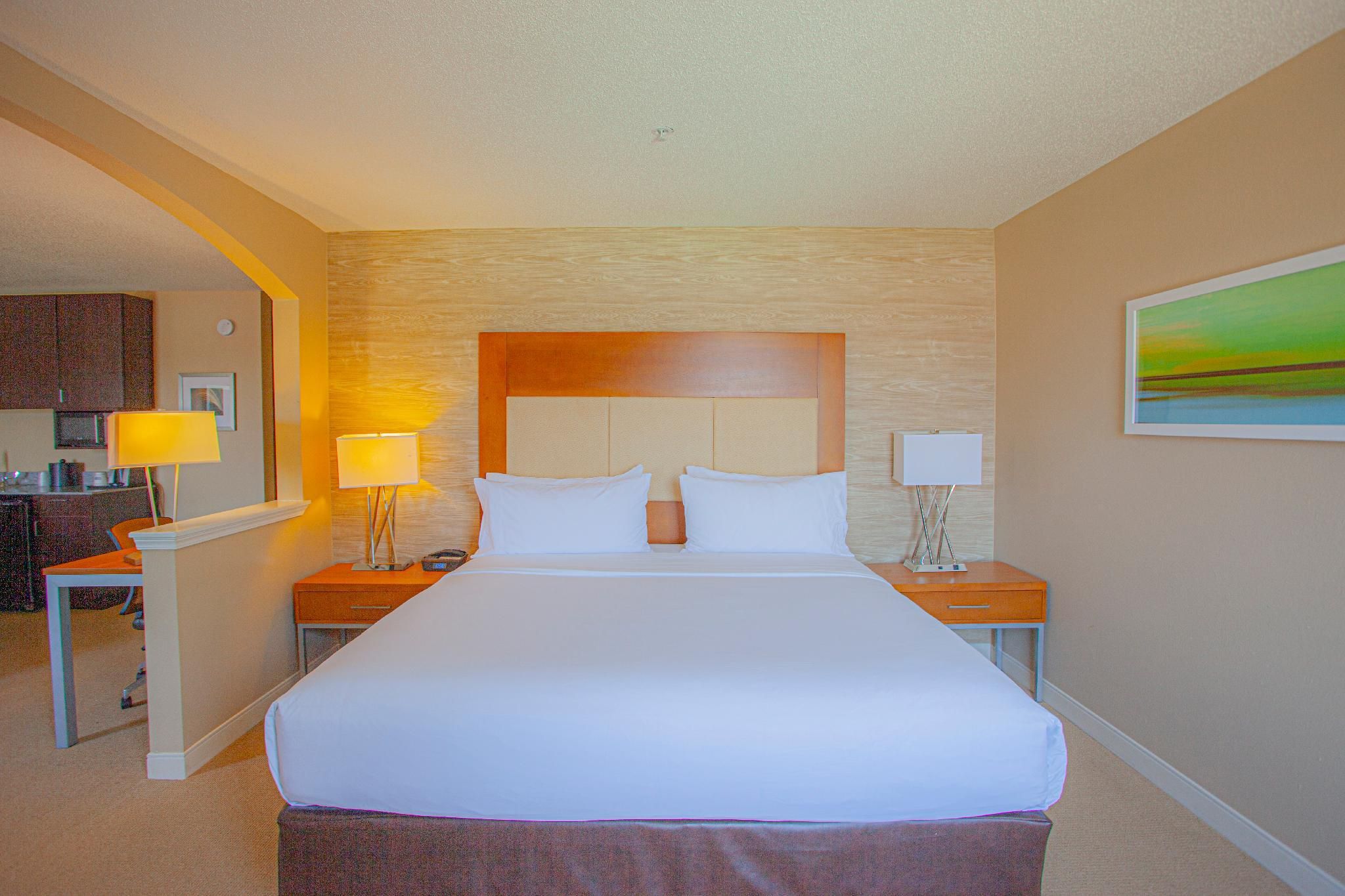 1 Queen Bed Business Suite Non-Smoking