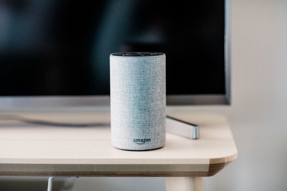 OMI Homes on Collins Family Apartment, 2 Bedrooms, Accessible, City View 12