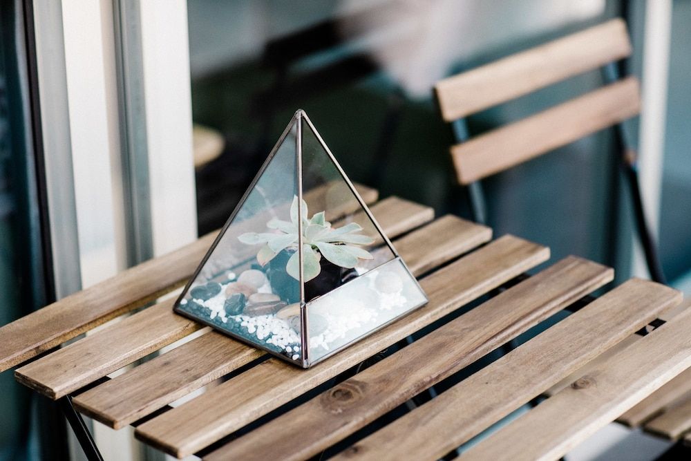 OMI Homes on Collins Family Apartment, 2 Bedrooms, Accessible, City View 8