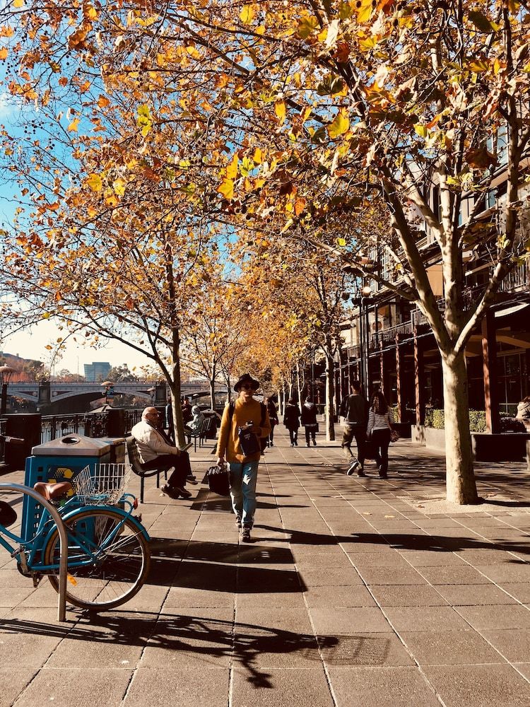 undefined OMI Homes on Collins 6