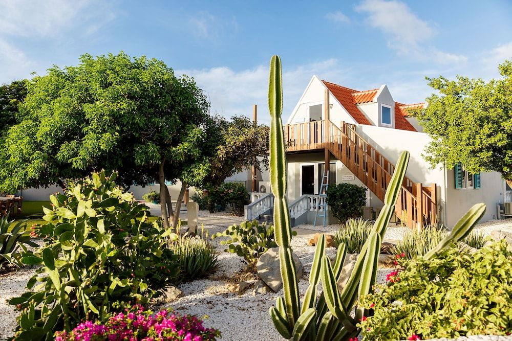 Aruba Boutique Apartments Adults Only Penthouse, 1 Bedroom, 1st floor, Balcony, Garden View 7