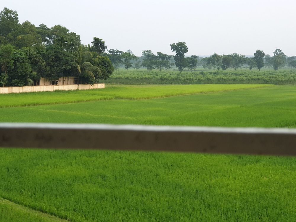 Grand Selim Resort & Tour Deluxe Quadruple Room 4