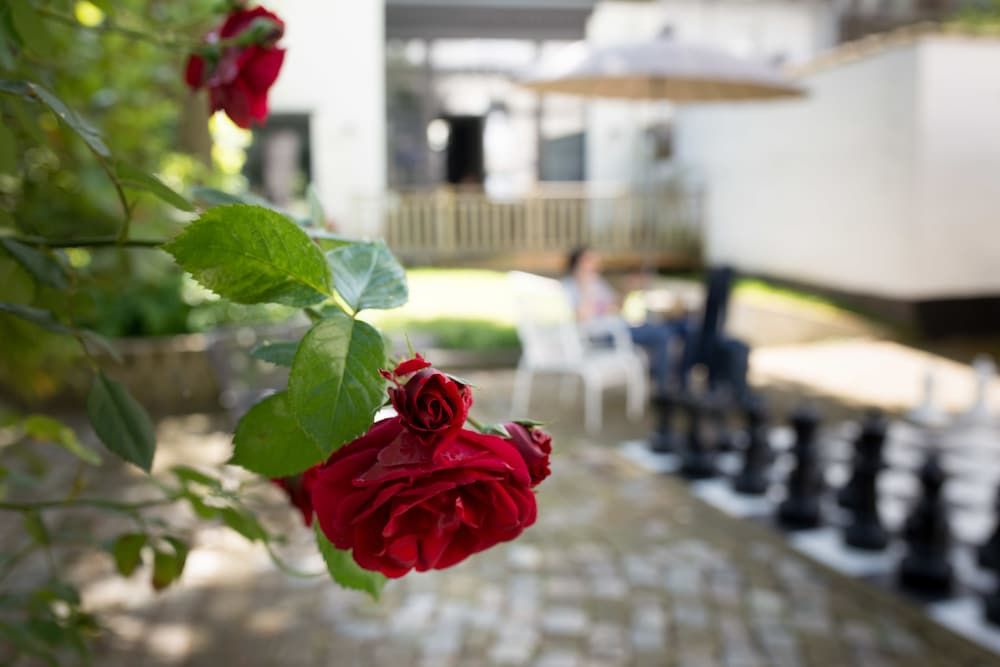 undefined Made in Louise 6