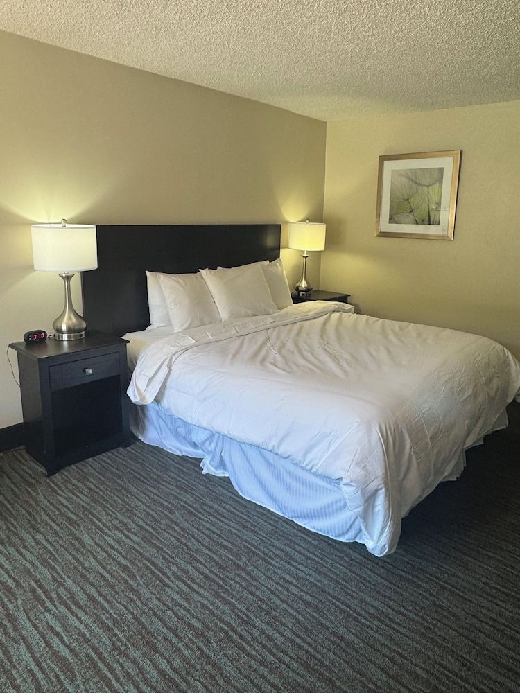 Room, 1 King Bed