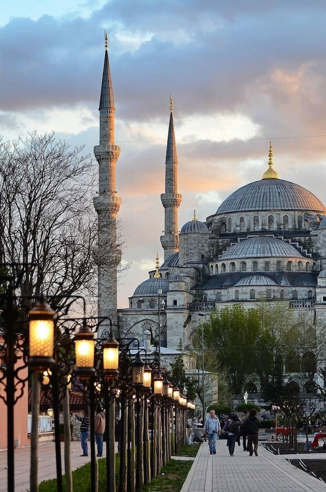 undefined Blue House Hotel 8