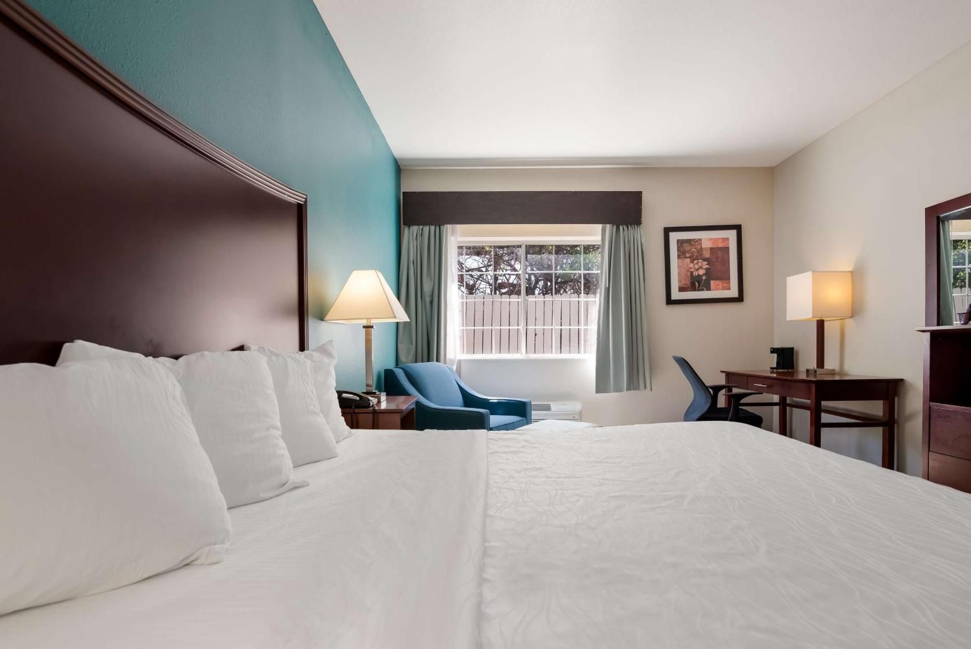 Accessibility - 1 King, Bathtub, Nonsmoking