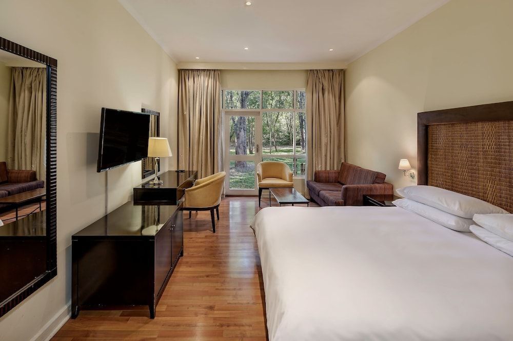 Room, 1 King Bed