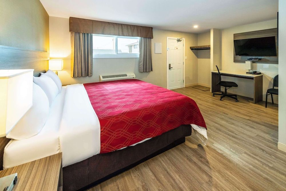 Efficiency, Room, 1 King Bed, Non Smoking