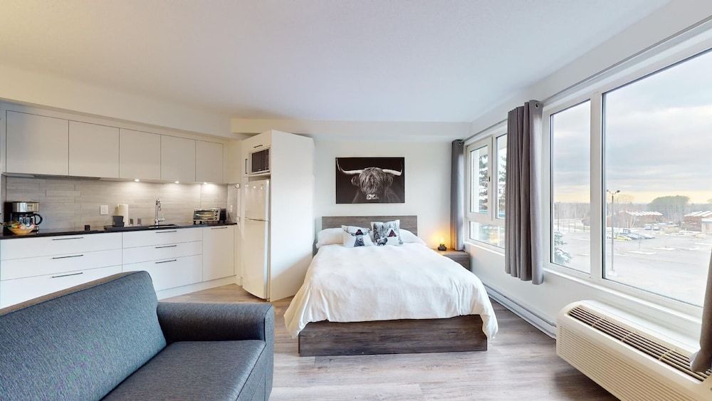 Superior Studio, 1 Queen Bed with Sofa bed