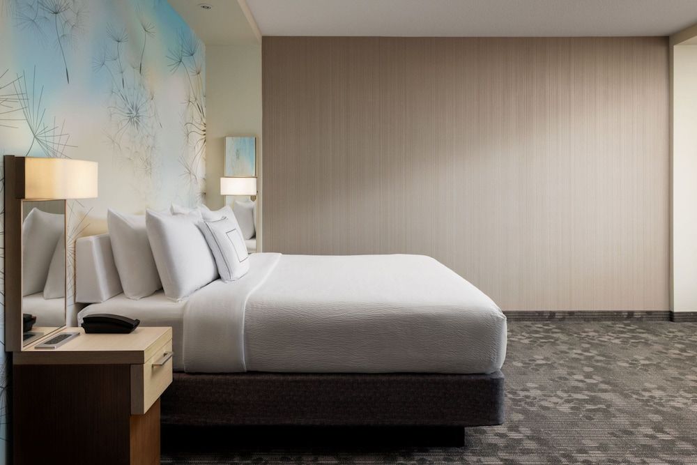 Suite, 1 King Bed with Sofa bed, City View