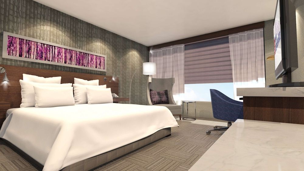 Hilton Garden Inn Ottawa Downtown Room, 1 King Bed (Small)