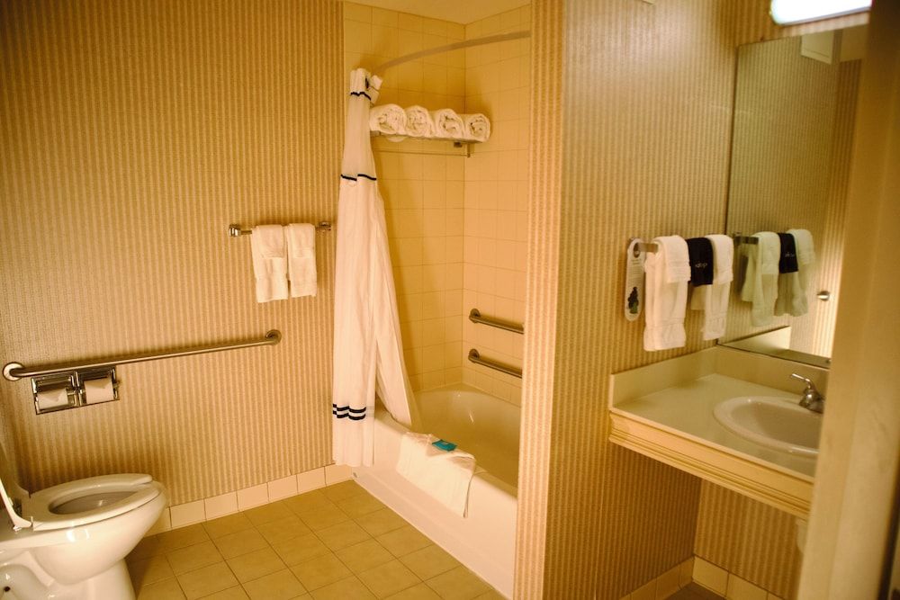 Hotel Mead Resorts & Conventions Center Family Studio Suite, Multiple Beds 8