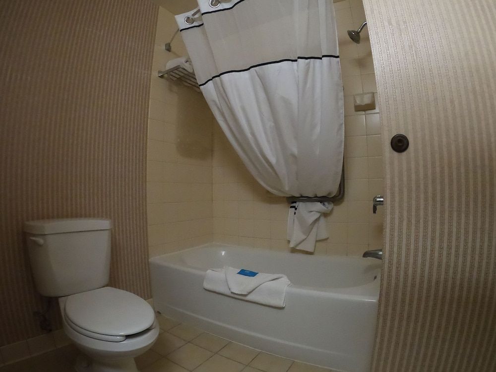 Hotel Mead Resorts & Conventions Center Family Studio Suite, Multiple Beds 12