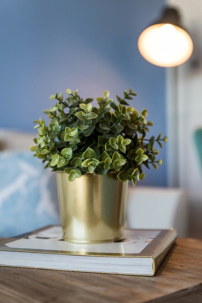 QuickStay CN Tower View Condo in Fort York Premium Studio, Kitchenette, City View 20