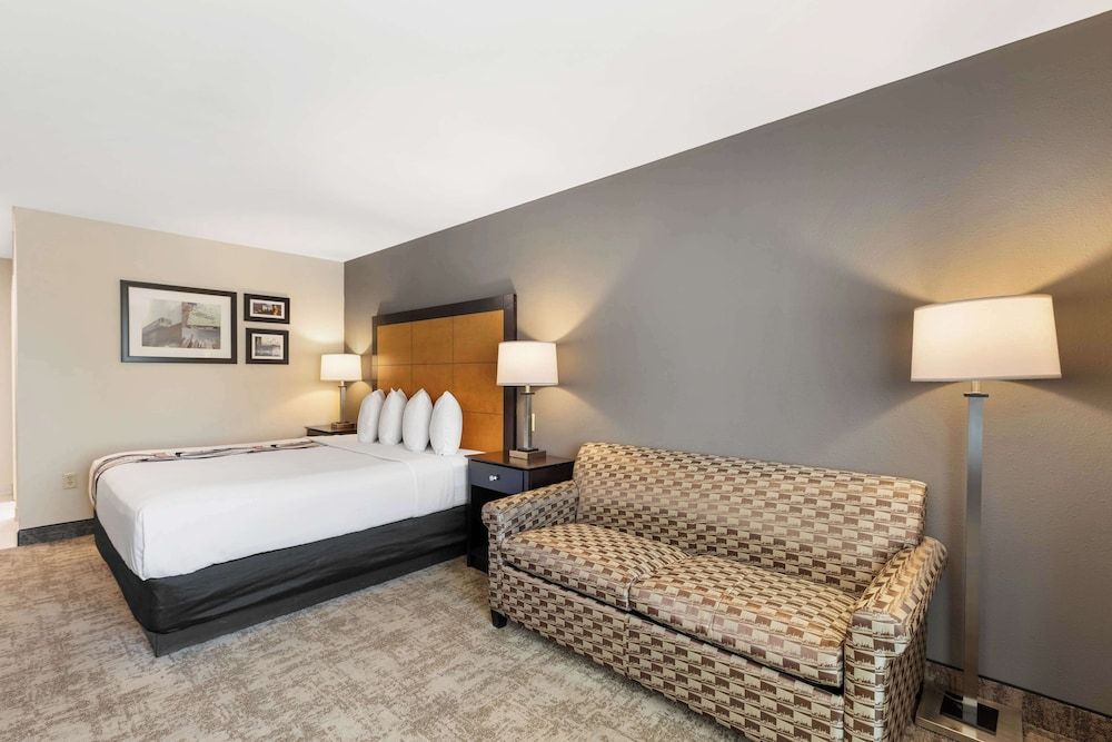Standard Room, 1 King Bed, Non Smoking, Refrigerator & Microwave (Shower Only)