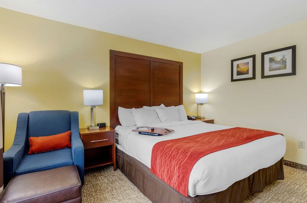 Room, 1 King Bed, Accessible, Non Smoking