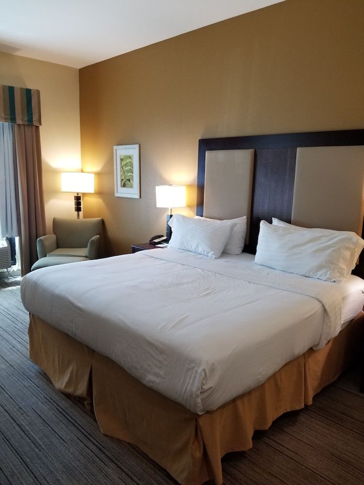 Standard Room, 1 King Bed, Accessible (Mobility, Roll-In Shower)