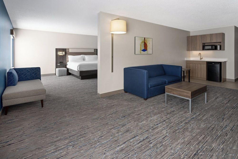 Suite, 1 King Bed with Sofa bed