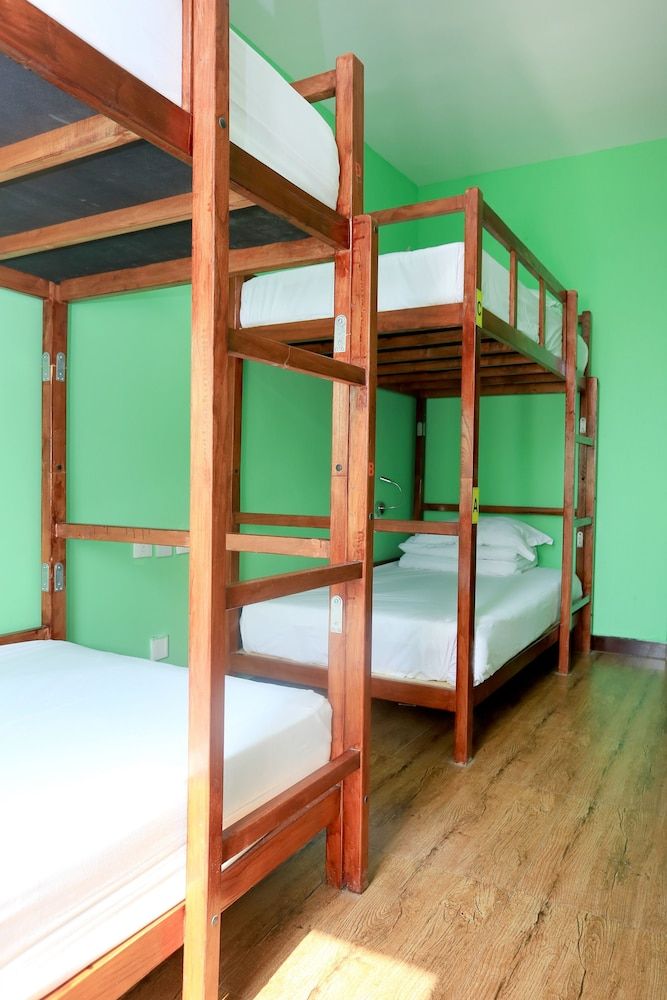 Bed in 4-Bed Dormitory with Shared Bathroom - Female Only